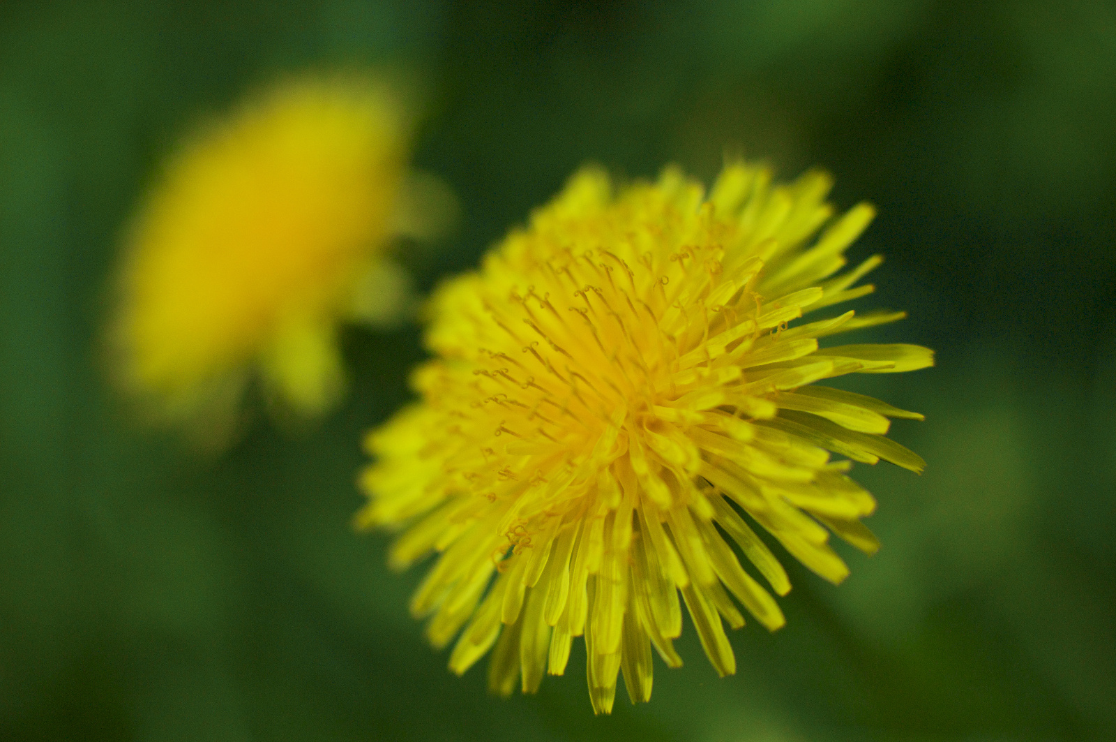 20DU6800   Arbeitskopie 2